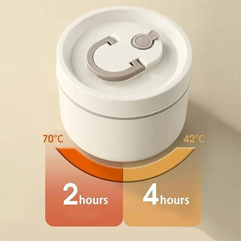 Stainless Steel Insulated Lunch Box Set